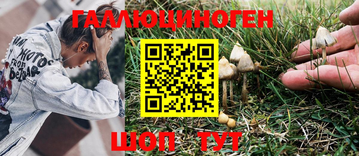 Псилоцибиновые грибы MAGIC MUSHROOMS  Вход с VPN  где купить наркотик  Галлюциногенные грибы Psilocybine cubensis  Кузнецк 
